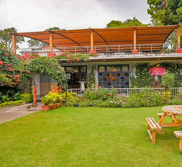 Lawn